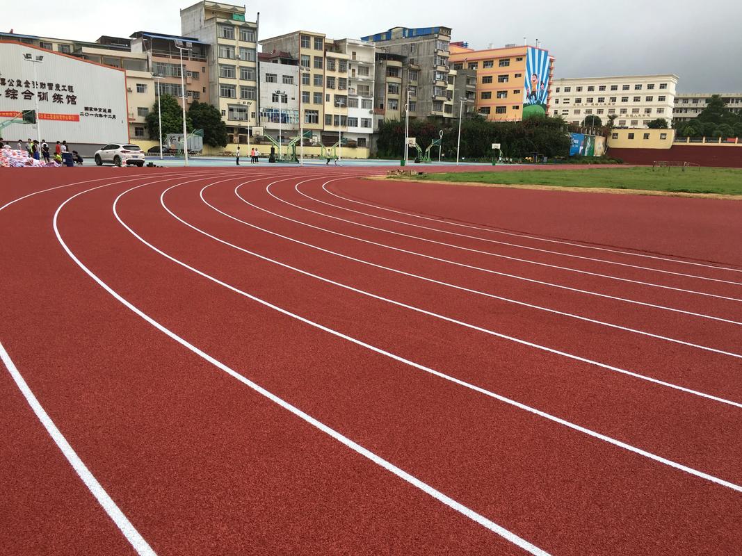 河池市EPDM颗粒塑胶跑道材料 - 厂家